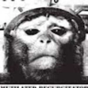 Meet your Posher, Lee